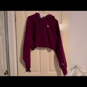 Champion Cropped Hoodie